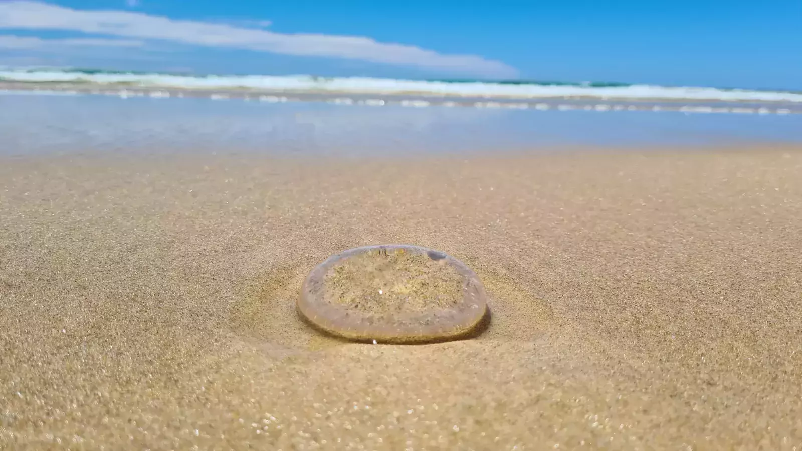 Gold Coast, Australia