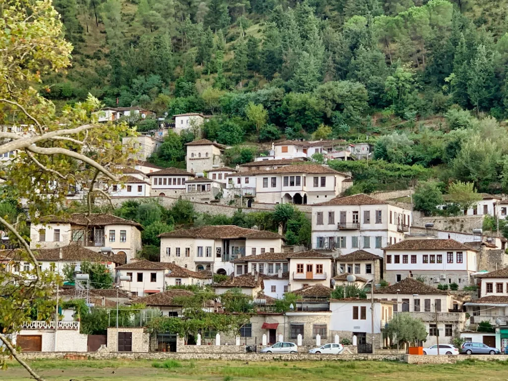 Albania white and brown concrete houses near green trees during daytime